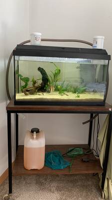 54l Aquarium inkl. allem