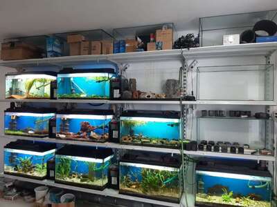 Aquarium Set 80cm Zuchtbecken mit Überlauf Zierfischzucht 112l 120l 125l 130l