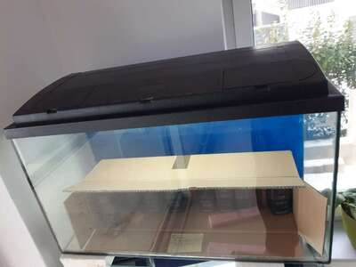 Aquarium Set 80cm Zuchtbecken mit Überlauf Zierfischzucht 112l 120l 125l 130l