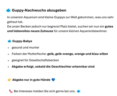 Guppy Jungtier - unbekannt