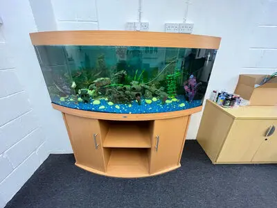 Juwel Vision Aquarium/Aquarium kostenlos