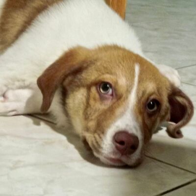 Agapi - möchte,+  muss einfach nur dauerhaft ankommen 💕/ Vorgemerkt