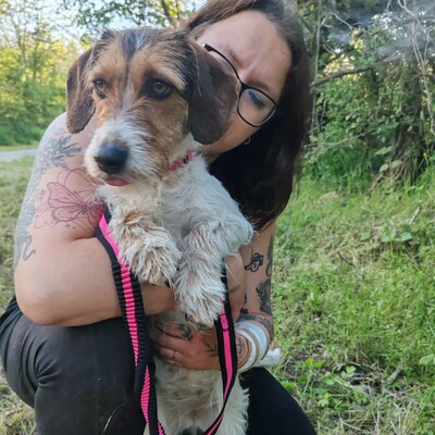 ❤️Allie ist ein kleiner Sonnenschein, der jeden mit Liebe und Fürsorge überschüttet❤️, Mischlingshündin - Hündin