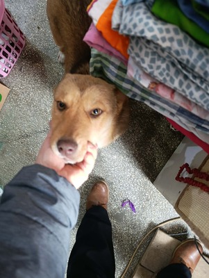 Aloka ist zuckersüß und offiziell auf der Suche nach ihrem Für immer Sofa