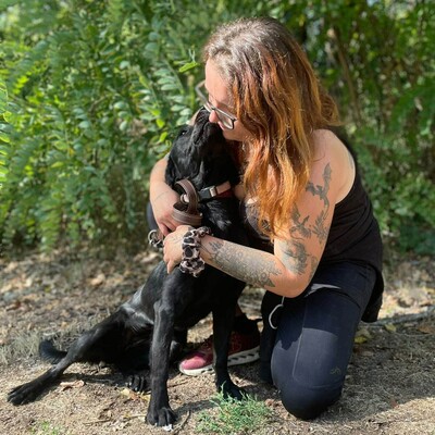 🌷Amara Labrador Retriever Mischling ist ein unbeschwerter, fröhlicher, liebevoller und freundlicher Hund🌺, Labrador Retriever Mischling - Hündin