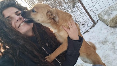 Anna, liebevolles Hundekind sucht liebevolles Zuhause, Mischling Welpen - Hündin