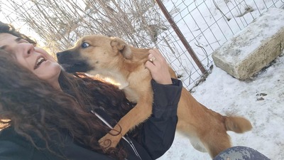 Anna, liebevolles Hundekind sucht liebevolles Zuhause, Mischling Welpen - Hündin