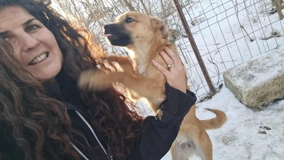 Anna, liebevolles Hundekind sucht liebevolles Zuhause, Mischling Welpen - Hündin