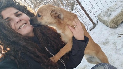Anna, liebevolles Hundekind sucht liebevolles Zuhause, Mischling Welpen - Hündin