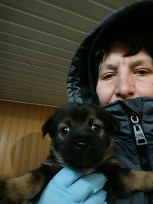 Anni – eine kleine Kämpferin auf der Suche nach ihrem großen Glück 💕