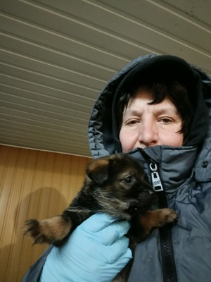 Anni – eine kleine Kämpferin auf der Suche nach ihrem großen Glück 💕, Mischling Welpen - Hündin