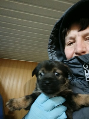 Anni – eine kleine Kämpferin auf der Suche nach ihrem großen Glück 💕, Mischling Welpen - Hündin