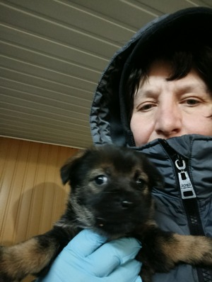 Anni – eine kleine Kämpferin auf der Suche nach ihrem großen Glück 💕, Mischling Welpen - Hündin