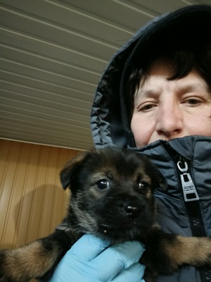 Anni – eine kleine Kämpferin auf der Suche nach ihrem großen Glück 💕, Mischling Welpen - Hündin