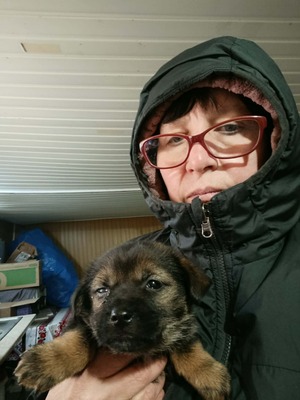 Anni – eine kleine Kämpferin auf der Suche nach ihrem großen Glück 💕, Mischling Welpen - Hündin