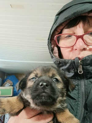 Anni – eine kleine Kämpferin auf der Suche nach ihrem großen Glück 💕, Mischling Welpen - Hündin