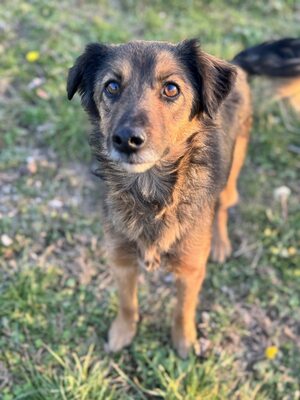 Argus sucht seine eigene Familie