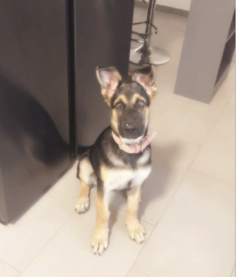 Ariya