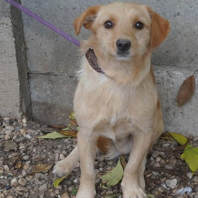 😉Armin sucht eine liebevolle Familie, in der er endlich Geborgenheit und unendliche Liebe findet💥