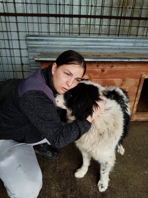 Atlas – der Charmeur mit den schwarzen Pünktchen auf der Nase 🖤🐾, Mischling - Rüde