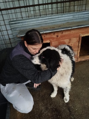 Atlas – der Charmeur mit den schwarzen Pünktchen auf der Nase 🖤🐾, Mischling - Rüde