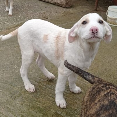 Avra -  fröhlich & neugierig 🤩