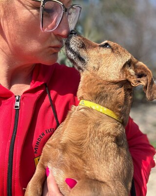 BAMBI - sucht ihre Menschen❤️❤️❤️, Mischling - Hündin