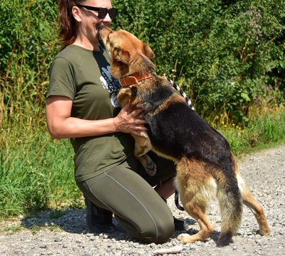 BASTIAN C69, Mischling - Rüde