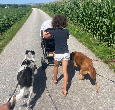 BRUNO - R E S E R V I E R T !!!!! WARTET SCHON SO LANGE!!!!! zu jedem freundlich und sehr treu, äußerst sanft, ausgeglichen, klug, Mischling (Video auf HP) - Betreuungsplatz OÖ - Rüde