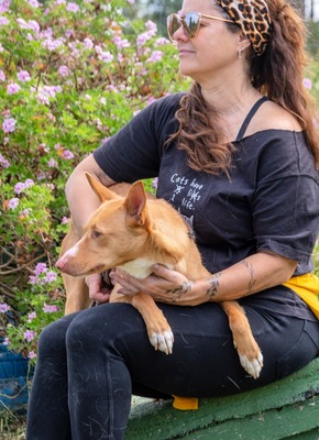 Bambi - auf der Suche nach Vertrauen, Mischling - Hündin