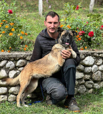 Belgium Girl sehnt sich nach einem dauerhaften Zuhause, Mischling - Hündin