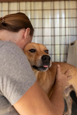 🐾 Benji – klein, charmant, und einfach zum Verlieben! 🐶, Mischling - Rüde