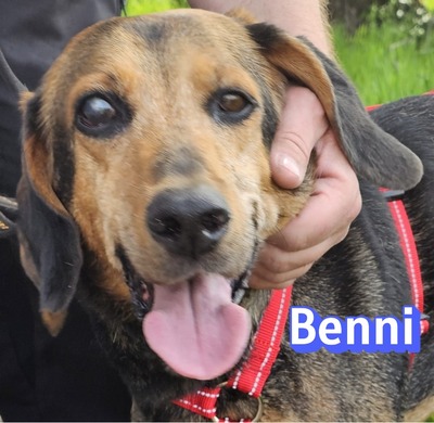 Benni