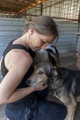 Benny – ein sanfter Riese mit großem Herzen 🤎🐾, Mischling - Rüde
