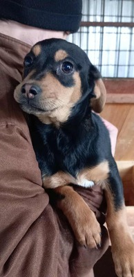 Berti, Profi-Herzensbrecher und angehender Unfug-Experte