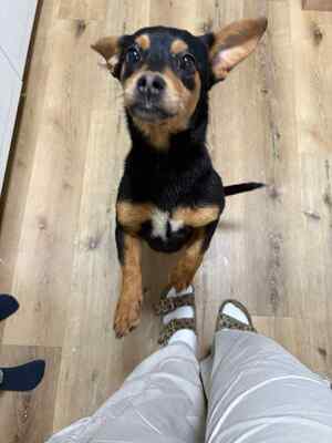 Berti, Profi-Herzensbrecher und angehender Unfug-Experte