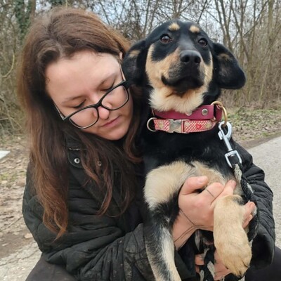 🌺Bethi ist äußerst freundlich zu allen und sehr sanftmütig 🌸, Mischlingshündin - Hündin