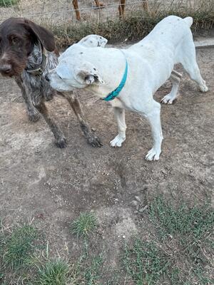 Betty und Netti gibt es nur im Doppelpack