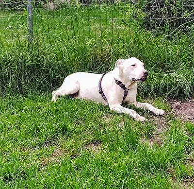 Betty und Netti gibt es nur im Doppelpack, Mischling - Hündin