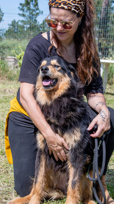 Big - ein feiner Kerl, Mischling - Rüde