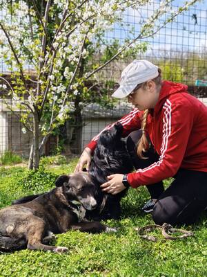 Blecky, Mischling - Rüde