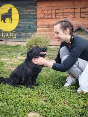 Blecky, Mischling - Rüde