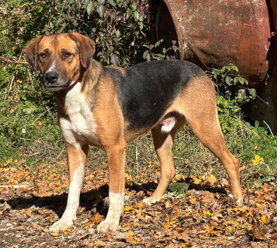 Bobby Boy träumt von SEINER eigenen Familie