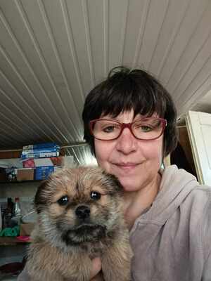 Bobby – ein kleiner Schatz sucht sein Glück 💕, Mischling Welpen - Rüde