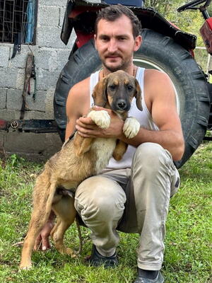 Boy und Belly suchen ein gemeinsames Zuhause, Mischling - Rüde