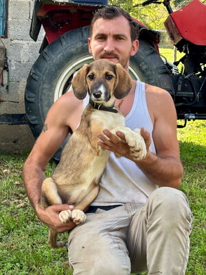 Boy und Belly suchen ein gemeinsames Zuhause, Mischling - Rüde