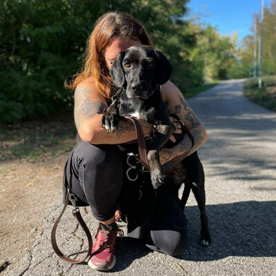 😍Brenda ist eine sanfte, ruhige und herzliche Hündin🌷, Mischlingshündin - Hündin