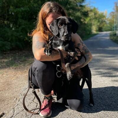 😍Brenda ist eine sanfte, ruhige und herzliche Hündin🌷, Mischlingshündin - Hündin