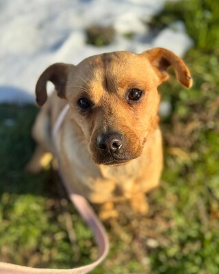 CUNUS - spielen, lachen, zur Familie gehören