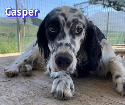 Casper